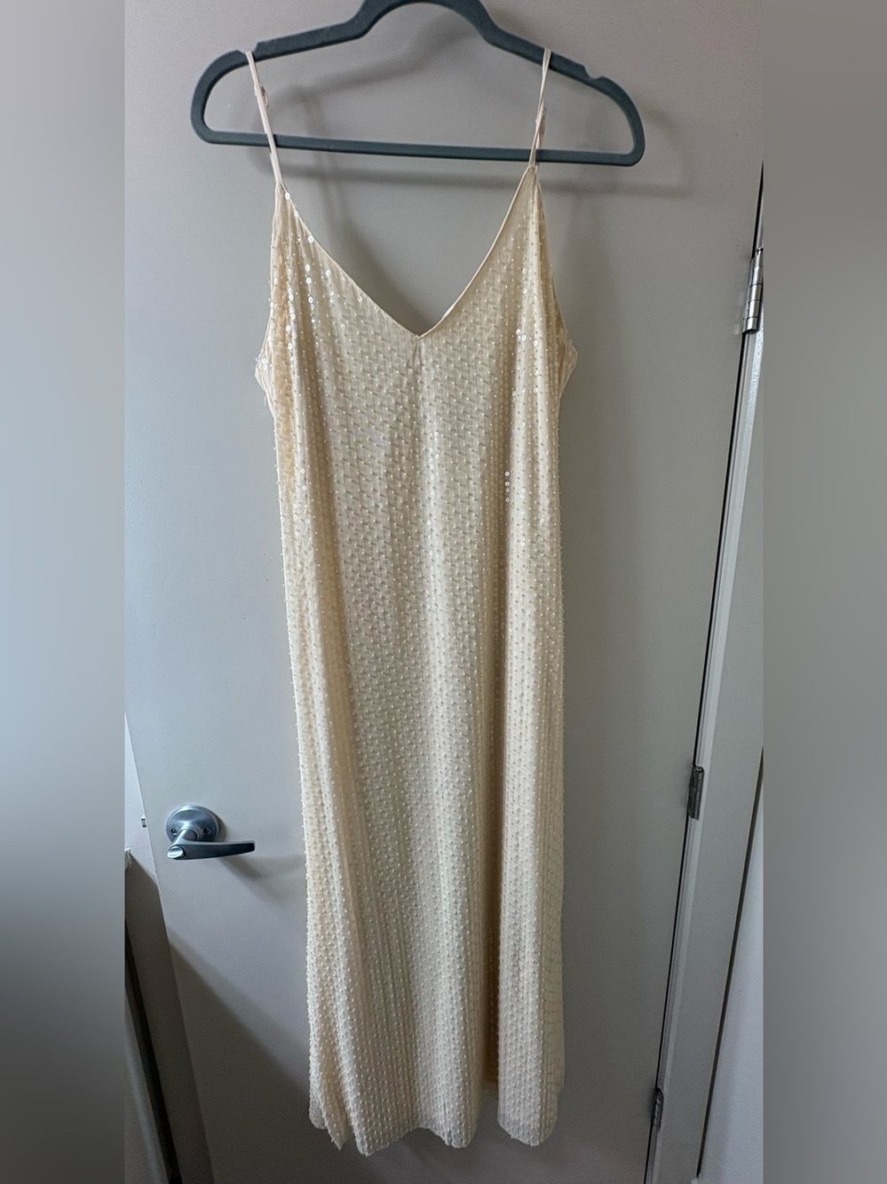 Zara Sequin Slip Maxi Dress in Champagne